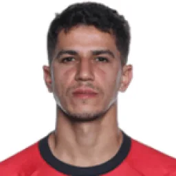 Vitor Frezarin Bueno