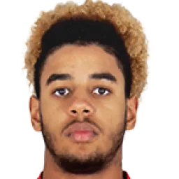 Willem Geubbels