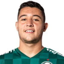 Pedro Henrique Rodrigues Bicalho