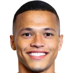 Darlan Pereira Mendes