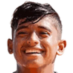 Kervin Mario Andrade Navarro