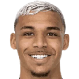 Victor Hugo Gomes Silva
