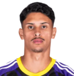 Pedro Henrique Leão Alves Lopes