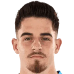 David Andrei Barbu