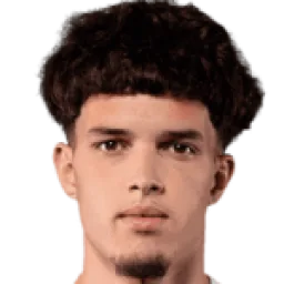 Flávio Ferreira Gonçalves