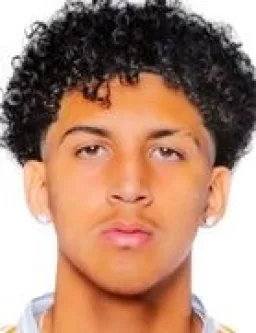 Matthew Arana Ibarra
