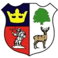 Cinderford Town