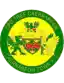 Caernarfon Town