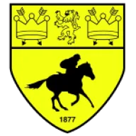 Newmarket Town
